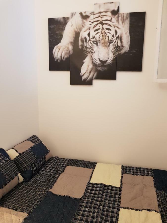 Appart... Centre Quartier Des Musiciens Apartman Nizza Kültér fotó